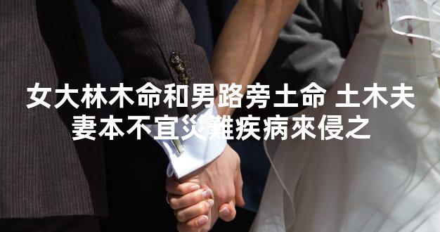 女大林木命和男路旁土命 土木夫妻本不宜災難疾病來侵之